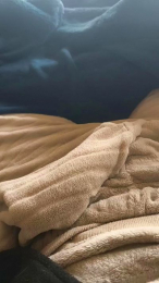 Gallumbero2 webcam model stream image