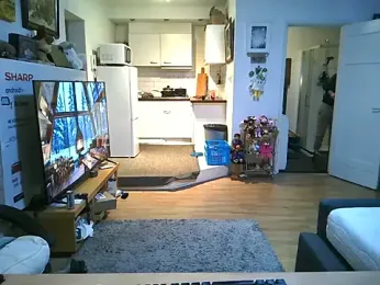 mihaimichael webcam stripchat model stream image