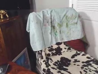 paul_longcut webcam model stream image