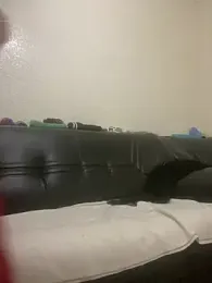 Ashwak_trans webcam model stream image