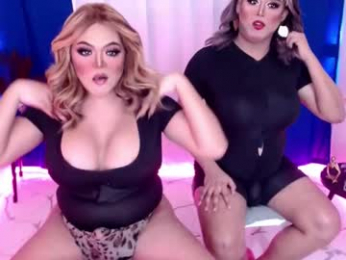 10incheskinkynastytrans webcam model stream image