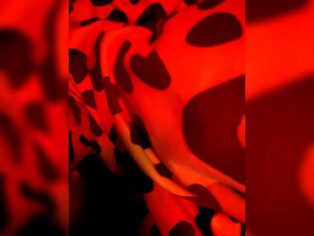 Karinasky webcam bongacams model stream image