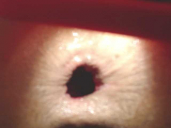 tu-y-yo19 webcam model stream image