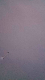 Jibanb2b webcam model stream image