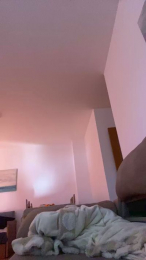 Alishafoxxx webcam model stream image