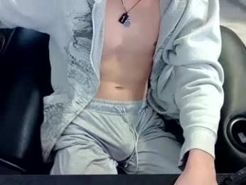 skrogdog webcam model stream image