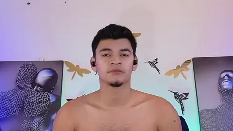 VikoHands webcam model stream image