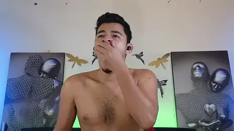 VikoHands webcam model stream image