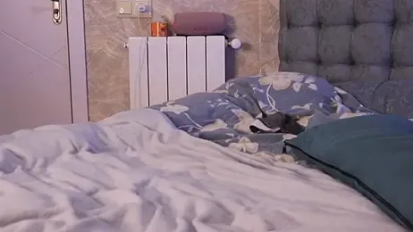 analollina webcam stripchat model stream image