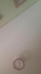 parejamorbosos3 webcam model stream image