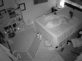 voyeurcam-hornyhostel-01 webcam model stream image