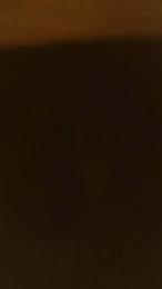 Sexporne webcam model stream image