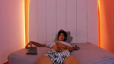 Sunny_OS webcam model stream image