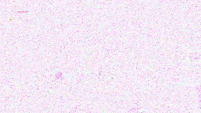 404_Non_Found webcam model stream image