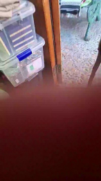 Madrid_sierra webcam cam4 model stream image