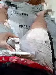 anis3g4 webcam model stream image