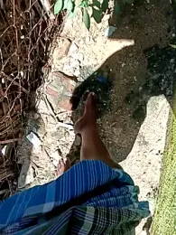 dolphiinn webcam model stream image