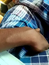 dolphiinn webcam model stream image