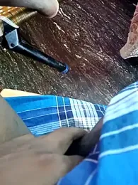 dolphiinn webcam model stream image