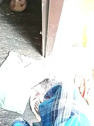 dolphiinn webcam model stream image