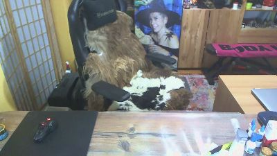 dw275 webcam model stream image