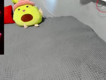 eva_zero webcam model stream image