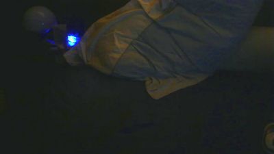 bidarius2 webcam model stream image