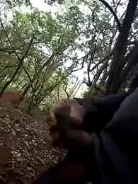 1662 webcam model stream image