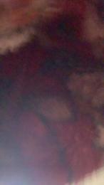 Caduzin244 webcam model stream image