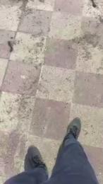 Bullnapol webcam model stream image