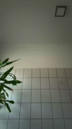 Mysticboy webcam model stream image