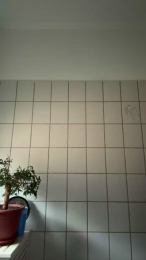 Mysticboy webcam model stream image