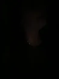 tsashelayamylynzy webcam model stream image