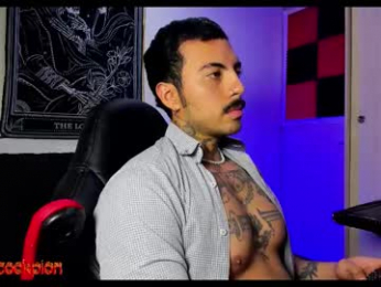 scockpion_ webcam model stream image