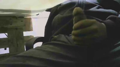 Piseloduro webcam model stream image