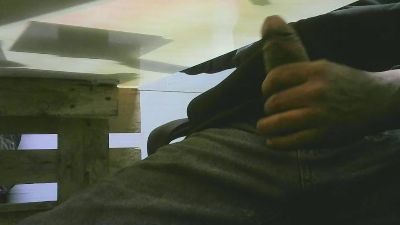 Piseloduro webcam model stream image