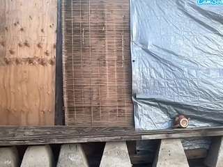 mrshyboy32 webcam model stream image