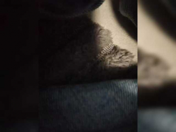 Nika0000 webcam model stream image