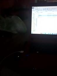 blasterjaxx00 webcam model stream image