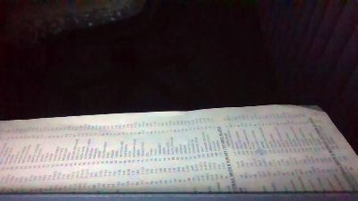 Silkworm_Piper webcam model stream image