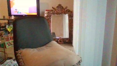 Silkworm_Piper webcam model stream image