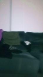 felipedavidtgn2 webcam cam4 model stream image