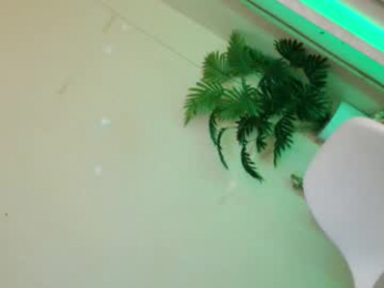 lady_in_black18 webcam chaturbate model stream image