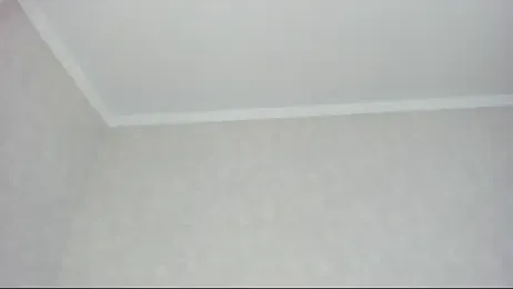 MollyDollz webcam model stream image