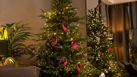 _keeti_ webcam model stream image