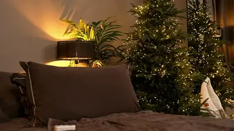 _keeti_ webcam model stream image