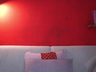 Anderson Wild webcam model stream image