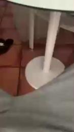 Potrocala1 webcam model stream image