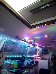 Fast_trip webcam model stream image