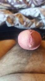 FlavJokes webcam cam4 model stream image